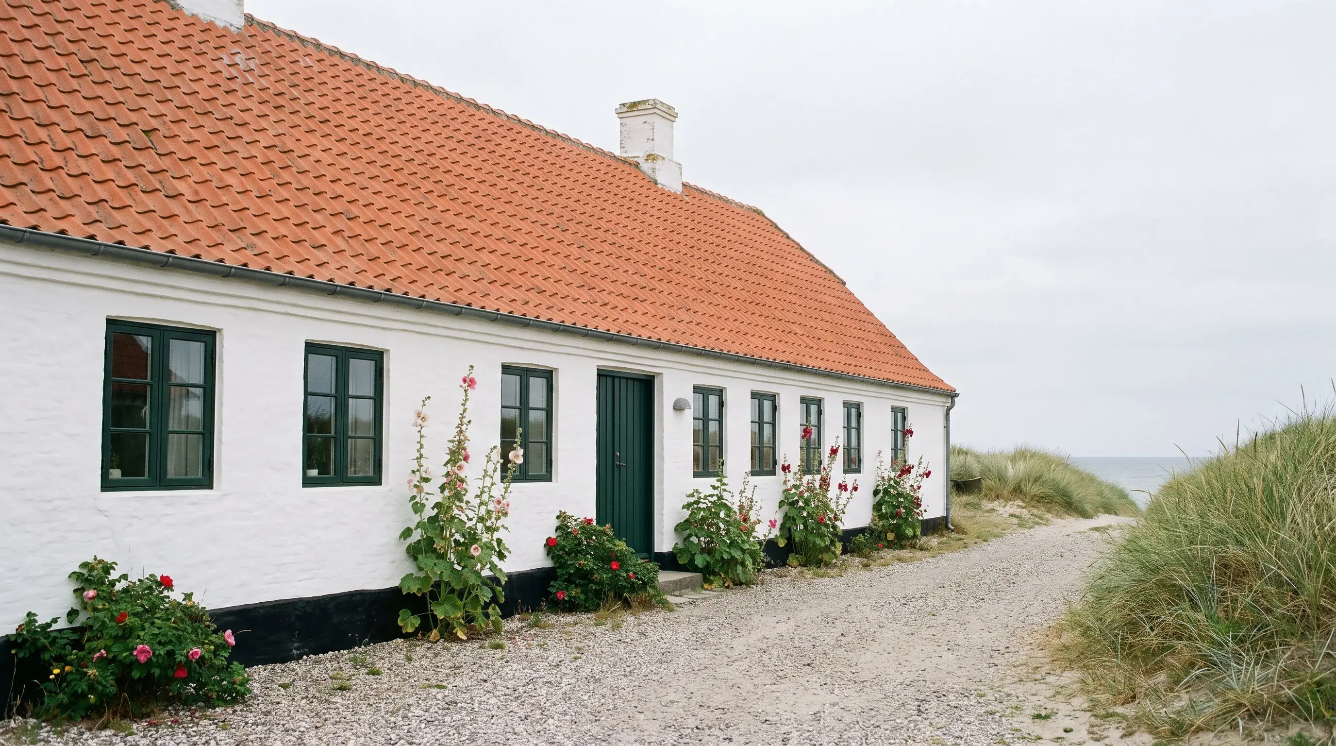Hvidkalket længehus med mørkegrønne sprossede vinduer, rødt tegltag, stokroser og hybenroser ved klitter og hav i gråvejr